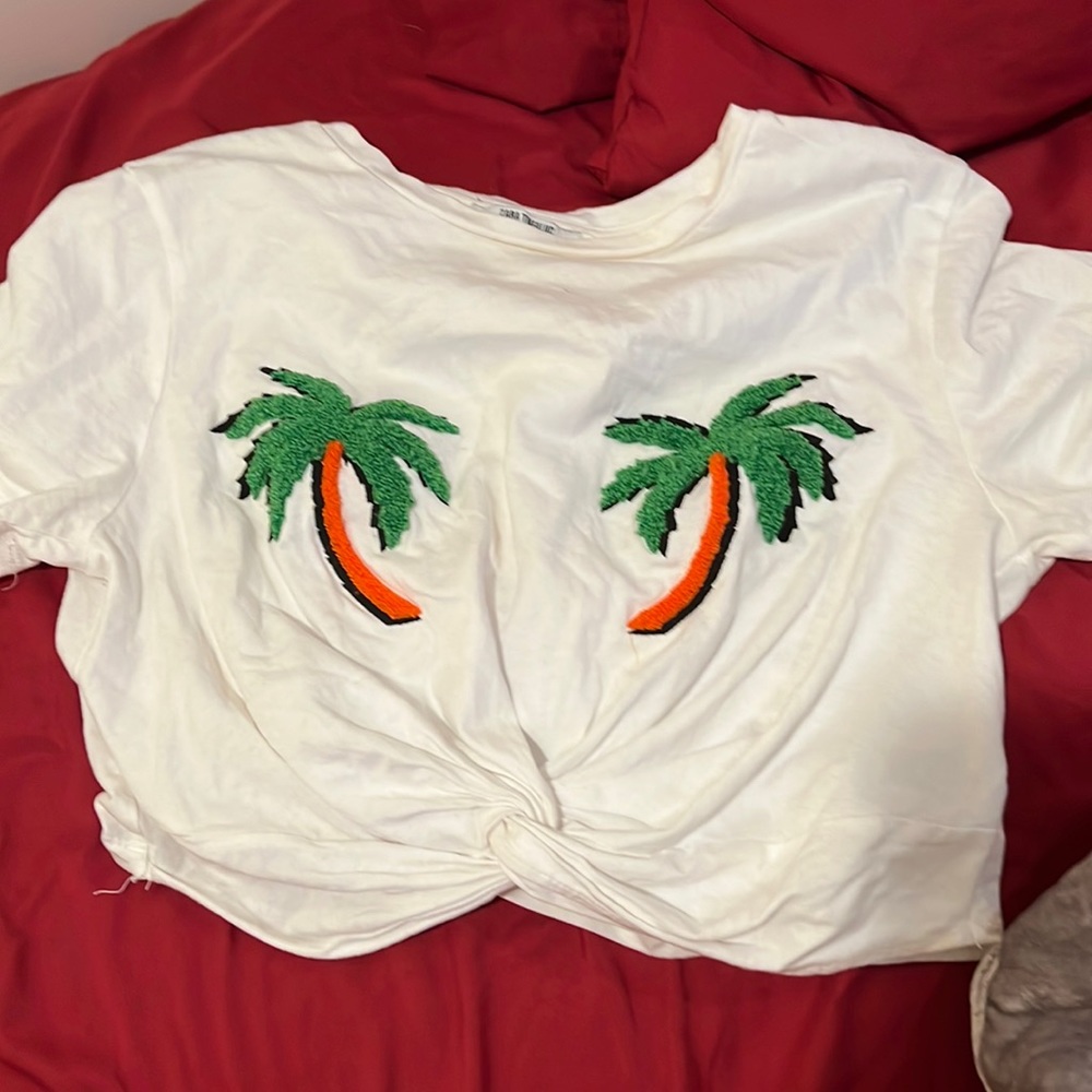 Zara Cropped White T-Shirt Size Medium